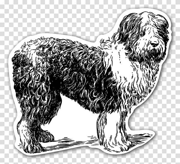 Old English Sheepdog Shetland Sheepdog German Shepherd Belgian Shepherd, sheep transparent background PNG clipart