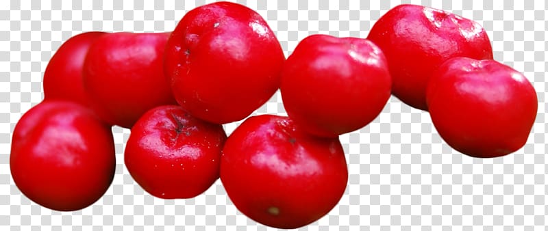 Cranberry, Cranberries transparent background PNG clipart