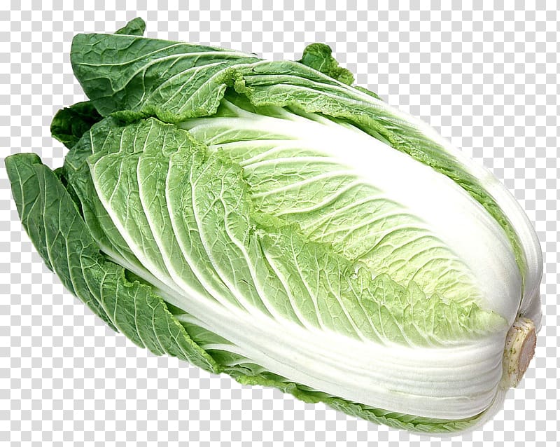 Napa cabbage Malatang Chinese cuisine Vegetable, A cabbage transparent background PNG clipart