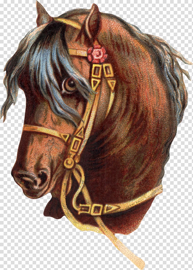 Horse , watercolor horse transparent background PNG clipart