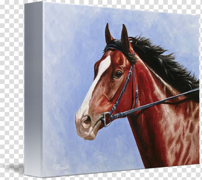 Thoroughbred Stallion American Paint Horse Oil painting, painting transparent background PNG clipart