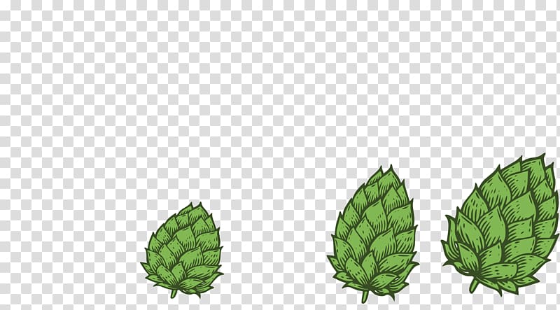 Colorado Springs Microbrewery Tree Fruit, tree transparent background PNG clipart