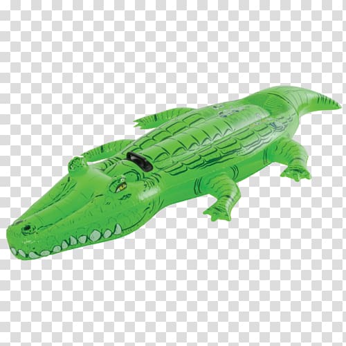 Crocodile Alligator Swimming pool Animal, crocodile transparent background PNG clipart