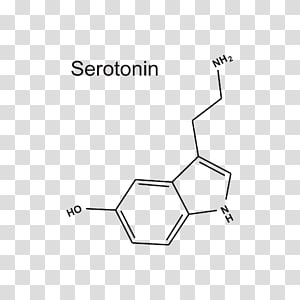 Serotonin Transparent Background Png Cliparts Free Download