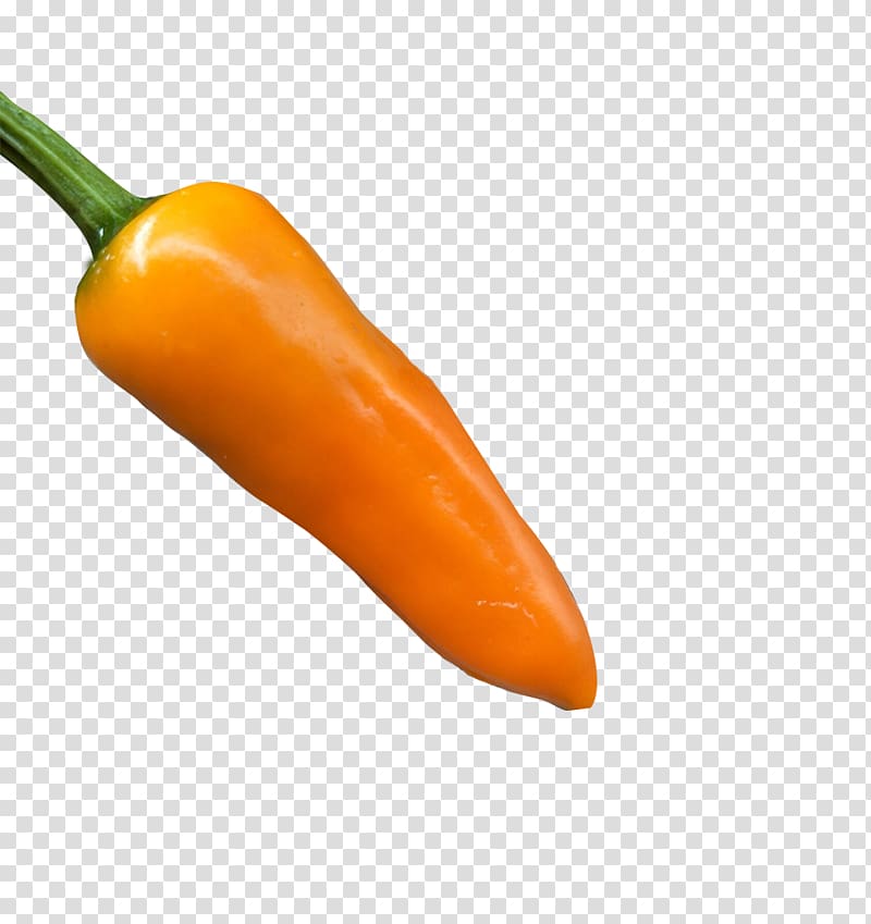 Habanero Serrano pepper Cayenne pepper Bell pepper Jalapexf1o, Real bullets yellow pepper transparent background PNG clipart