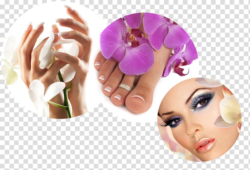 Nails & Beauty Lounge shop plugin Norderney, others transparent background PNG clipart