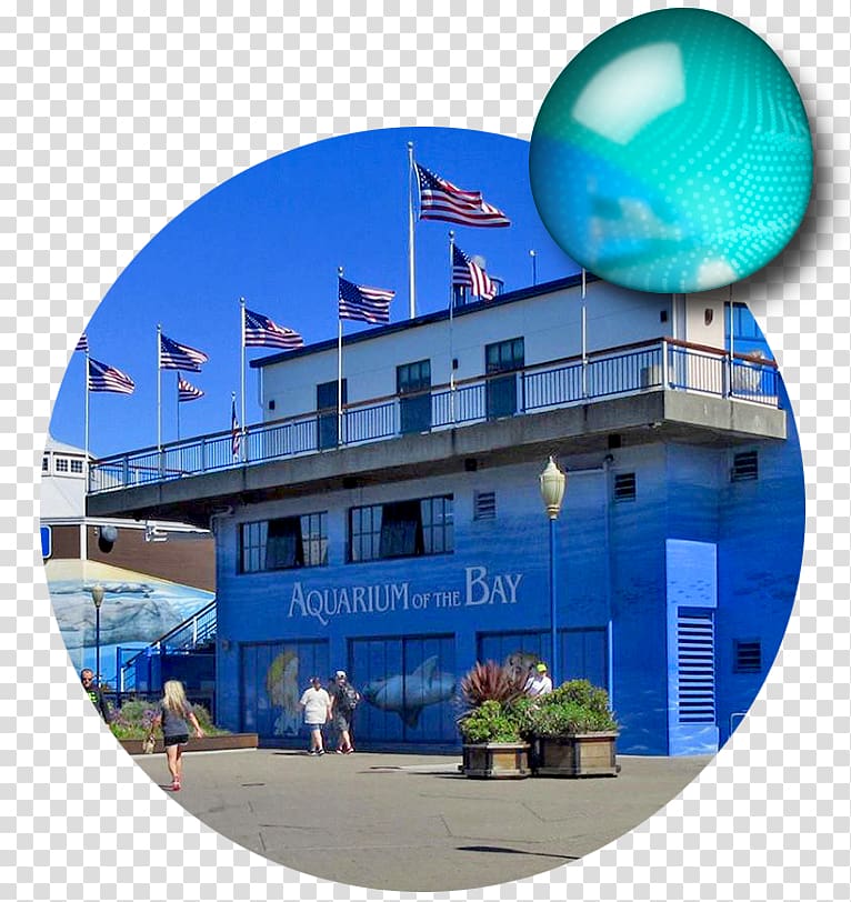 Bay Ecotarium San Francisco Bay Leisure, please protect public facilities transparent background PNG clipart