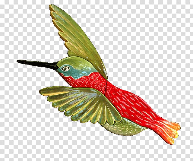 Hummingbird Ceramic Beak Tile, hummingbird transparent background PNG clipart