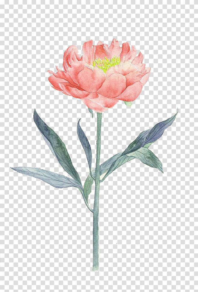 Flower Painting Illustration, Watercolor flowers transparent background PNG clipart