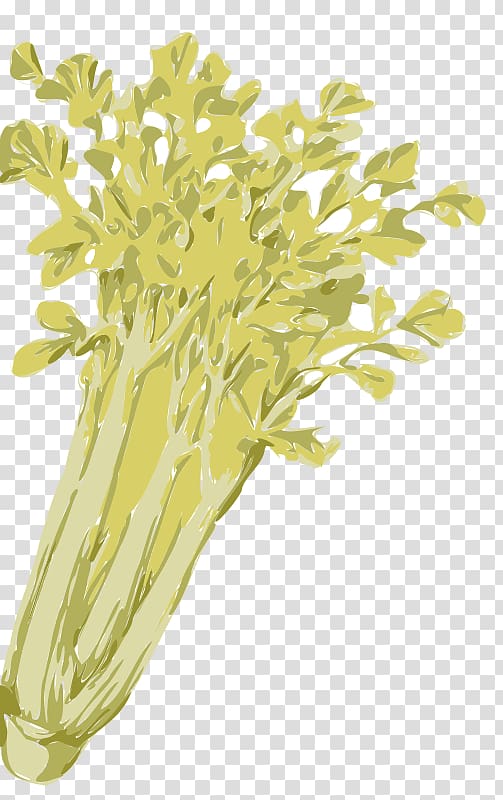 Celery Vegetable , celery transparent background PNG clipart