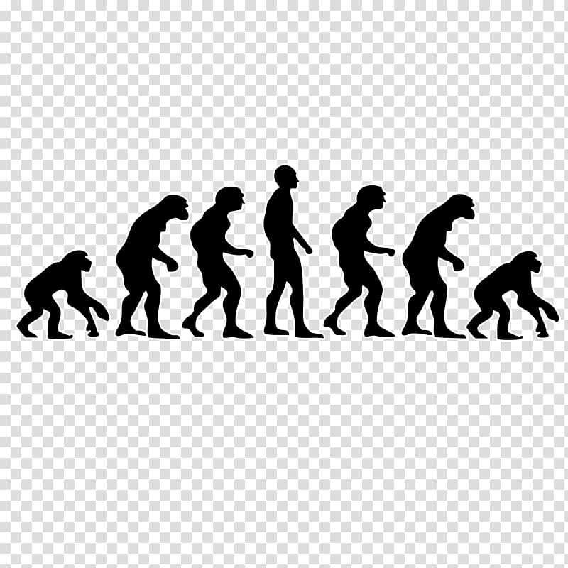 Neanderthal Human evolution Primate, ray donovan logo poster transparent background PNG clipart