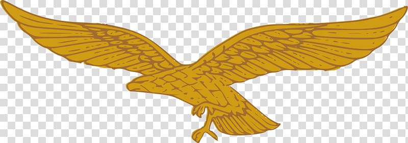 Golden eagle German Air Force Golden eagle , others transparent background PNG clipart
