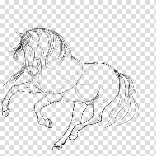 Howrse Mustang Pony Konik Line art, mustang transparent background PNG clipart