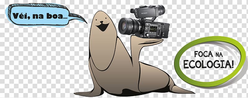 Sony CineAlta PMW-F5 4K resolution Camera Technology, Camera transparent background PNG clipart