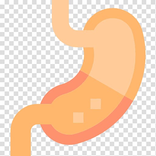 Stomach Computer Icons Human body Organ Medicine, others transparent background PNG clipart