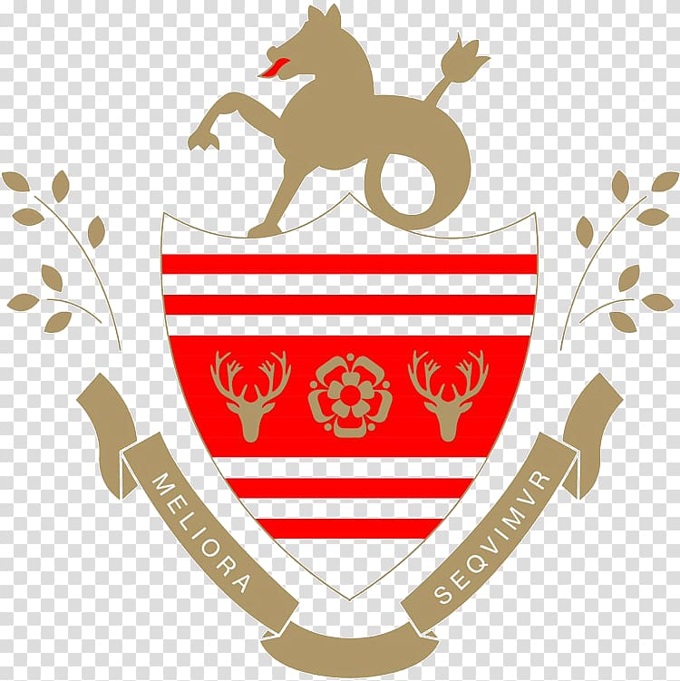 Eastbourne Town F.C. Eastbourne Borough F.C. The Saffrons Southern Combination Football League Whitehawk F.C., football transparent background PNG clipart