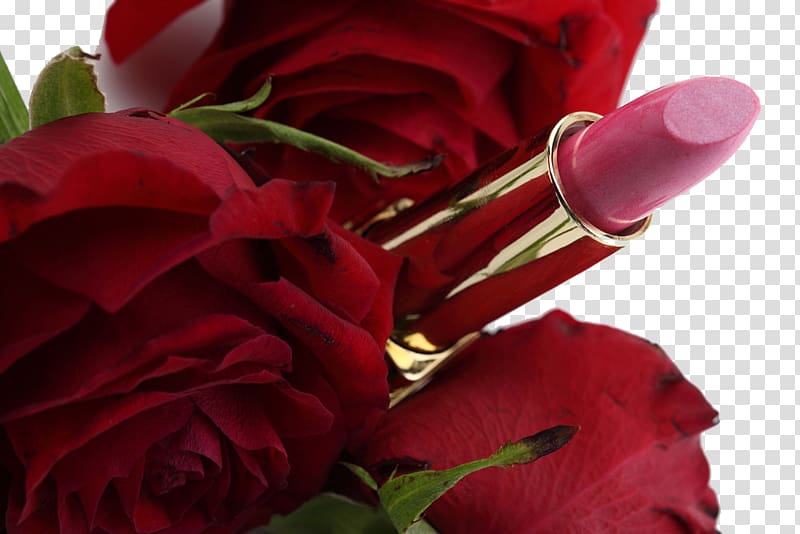 Lipstick Make-up, Rose Lane lipstick transparent background PNG clipart