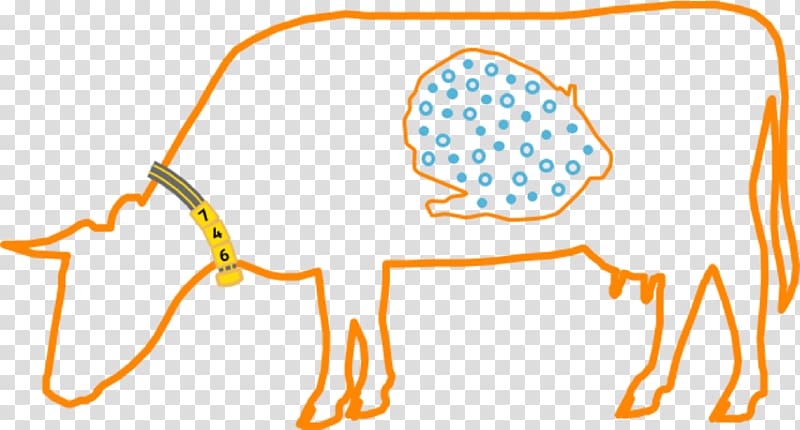 Dairy cattle Rumen Animal Microorganism, others transparent background PNG clipart