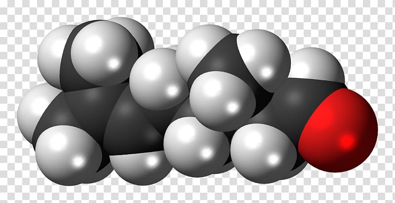 Space-filling model 2-Hexanol Sphere 1-Hexanol Citronellol, others transparent background PNG clipart