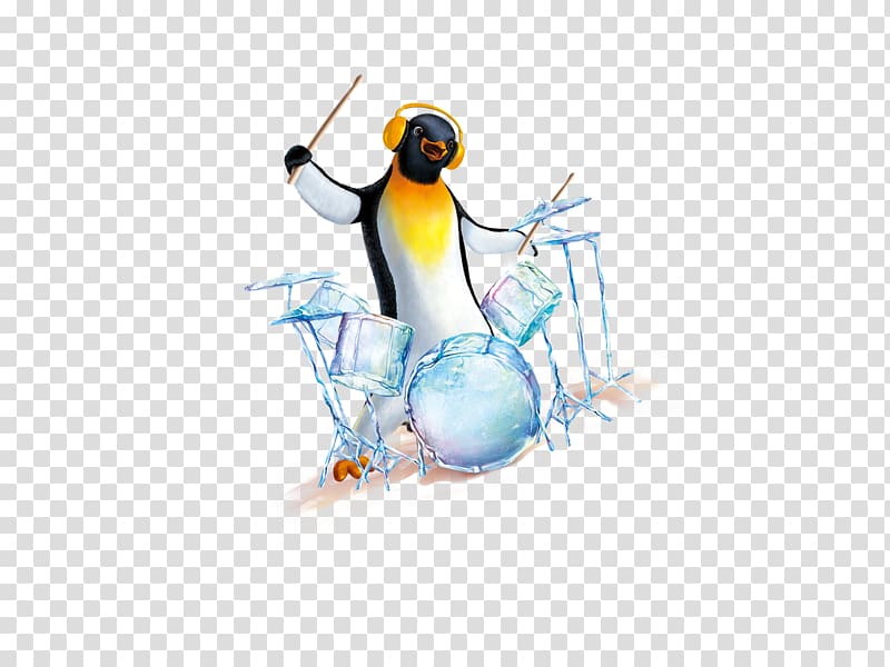 Penguin Bird , Penguin drums transparent background PNG clipart | HiClipart