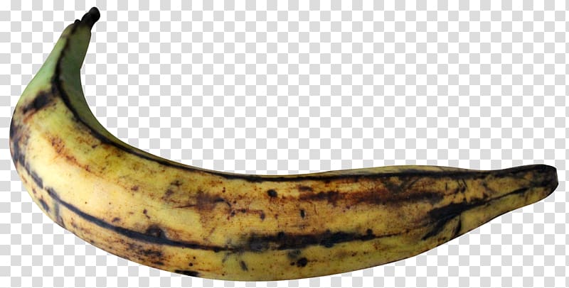 Cooking banana, Plantain Banana transparent background PNG clipart
