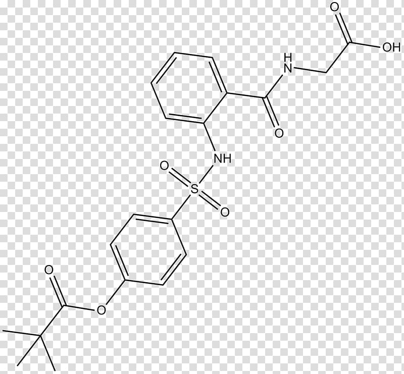 Neutrophil elastase Protease Enzyme inhibitor Caspase, others transparent background PNG clipart