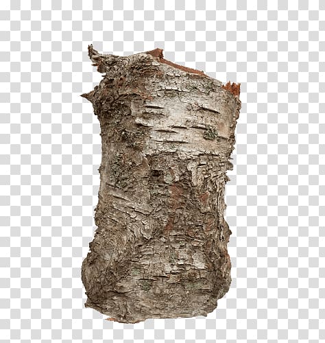 Trunk Bark Birch Tree Wood, tree transparent background PNG clipart