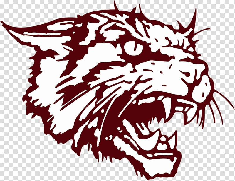 Clear Creek High School Bethune-Cookman University Bethune-Cookman Wildcats football Clear Brook High School, school transparent background PNG clipart