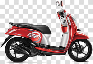 Honda Scoopy Motorcycle PT Astra Honda Motor Honda Beat, honda transparent background PNG clipart thumbnail