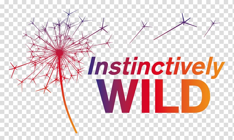 Definition Instinctively Wild Services CIC East Lothian Noble Ox Marketing Information, roll borders transparent background PNG clipart