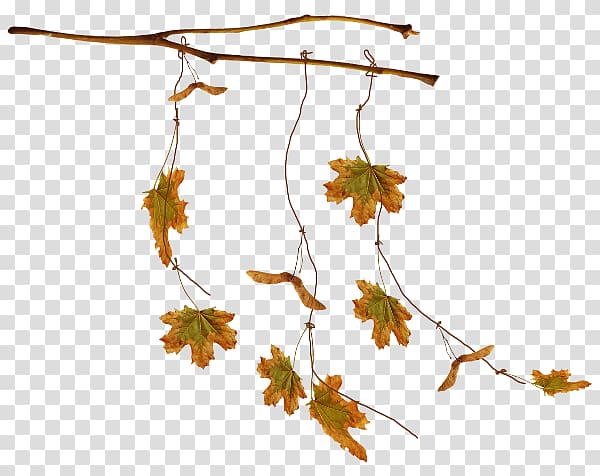 Leaf Autumn Leaves, others transparent background PNG clipart