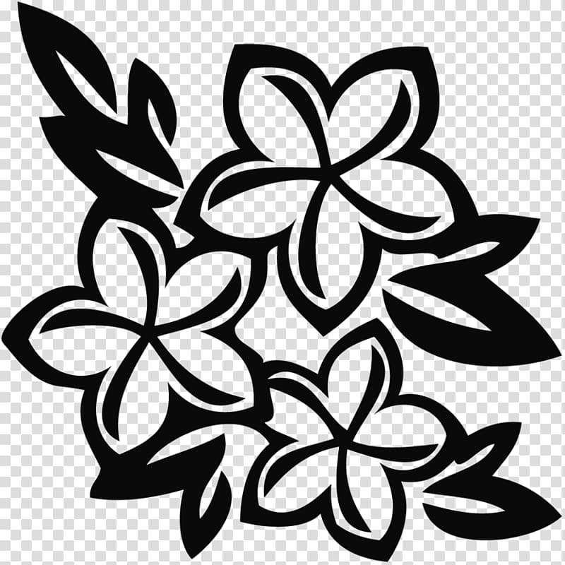 Drawing Floral design Flower , plumeria transparent background PNG clipart