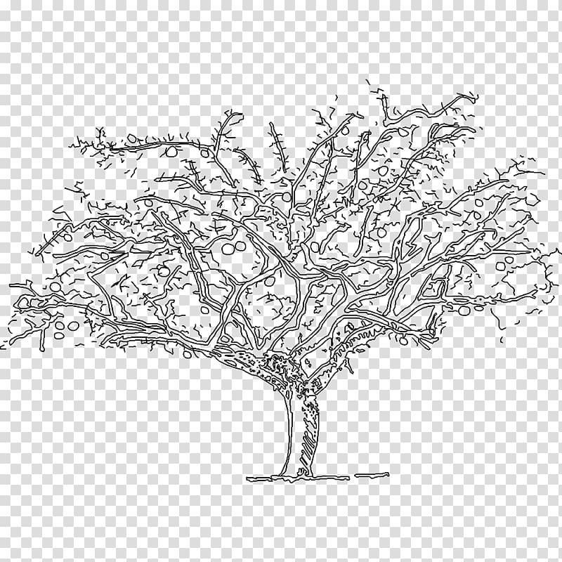 Naxos Delos Art Painter Painting, tree axonometric transparent background PNG clipart