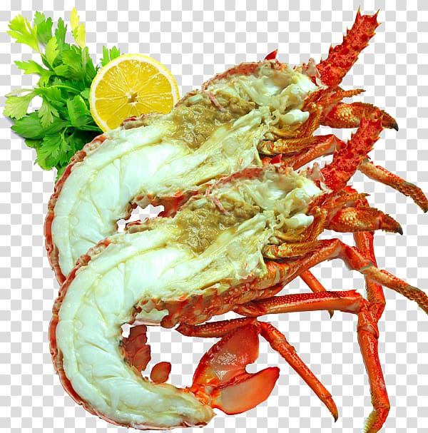 Lobster Sashimi Caridea Crayfish Seafood, seafood transparent background PNG clipart