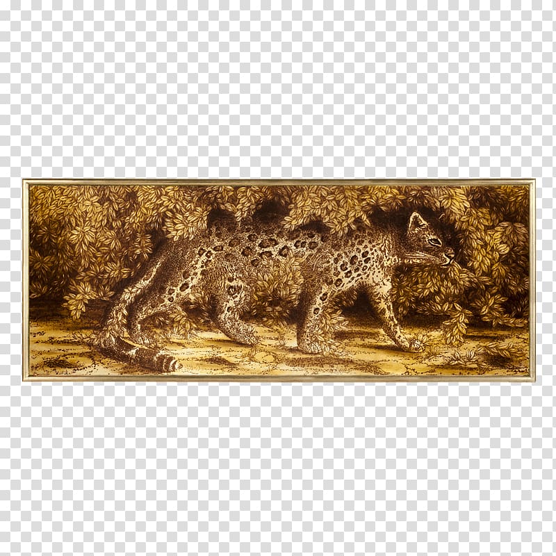 Wildlife Fauna Carnivora, leopardo transparent background PNG clipart
