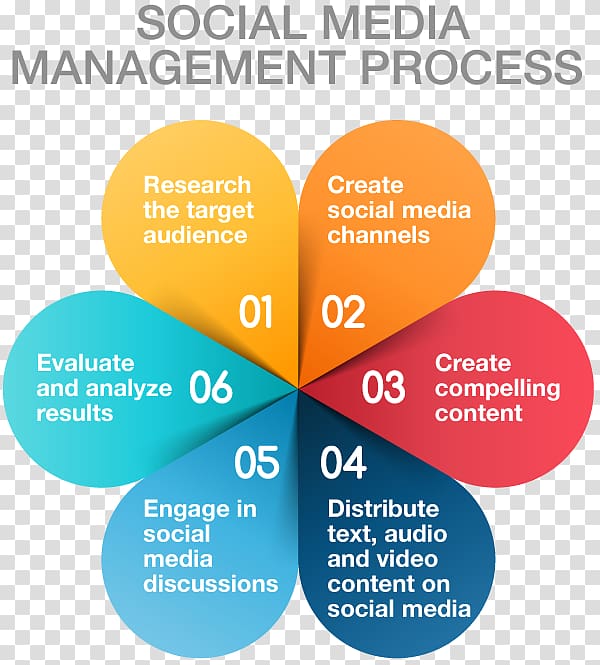 Social media marketing Business process Management, social media management transparent background PNG clipart