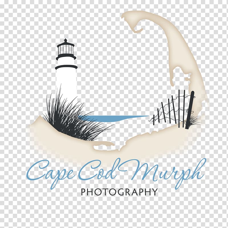 Logo Eyelash Font, design transparent background PNG clipart