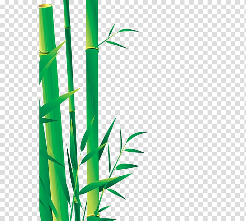 Bamboo Bamboe Icon, bamboo transparent background PNG clipart