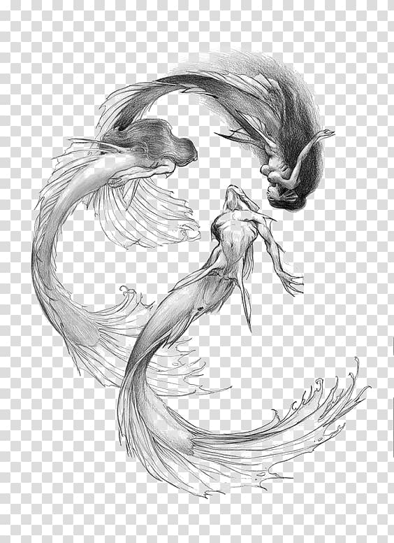 three mermaids sketch, Mermaid Drawing Siren Sketch, Mermaid transparent ba...