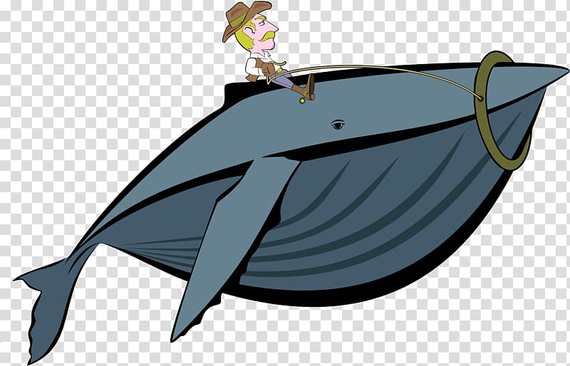Killer whale Cowboy , whale transparent background PNG clipart