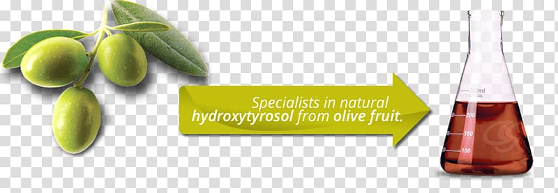 Olive oil Hydroxytyrosol Oxygen radical absorbance capacity Food, olive oil transparent background PNG clipart