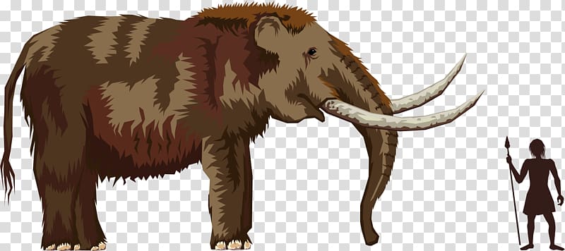 Pliocene Mastodon Mammoth , elephany transparent background PNG clipart