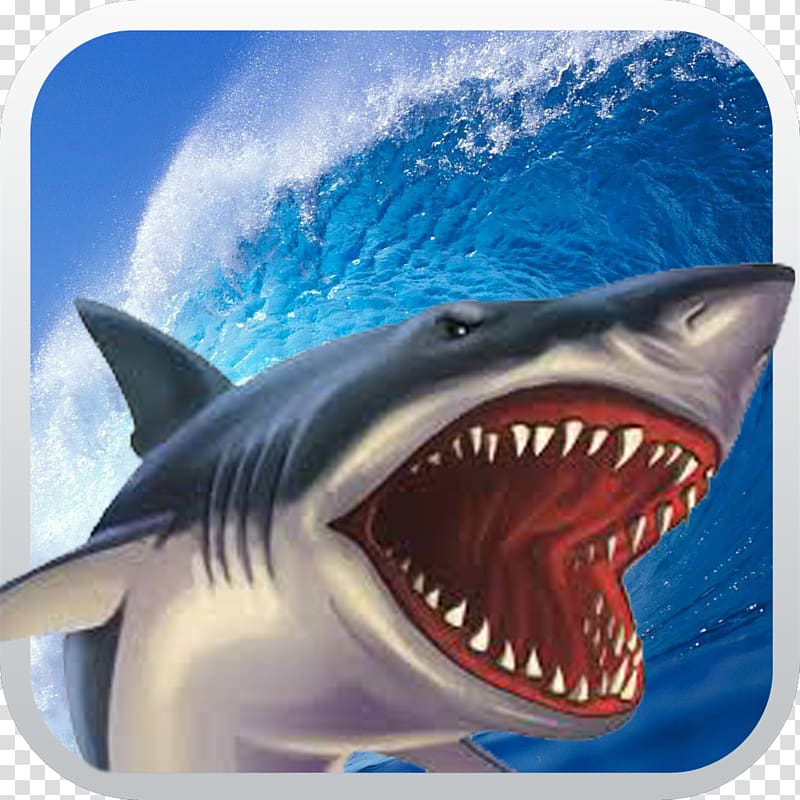 Shark Attack Simulator 3D Crocodile Attack Free: Wild 3D, shark transparent background PNG clipart