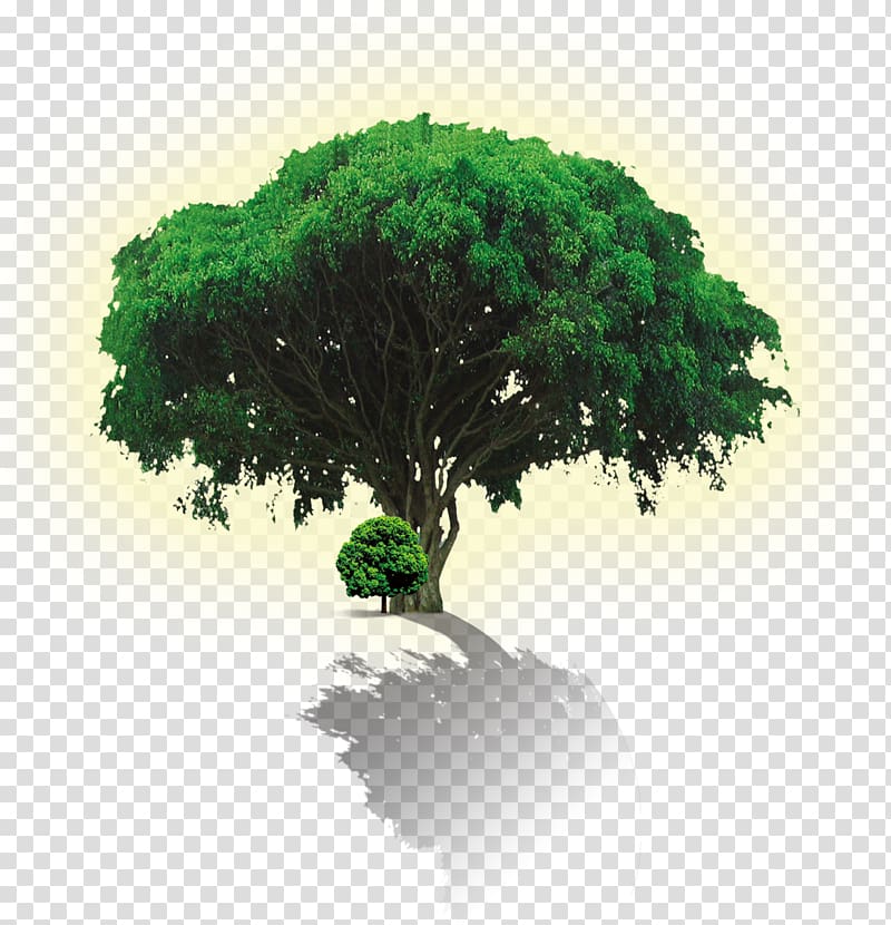 Advertising Environmental protection Poster Green, tree transparent background PNG clipart