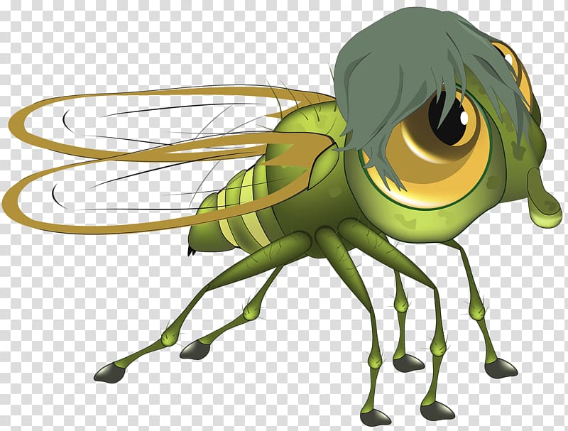 Fly Cartoon Illustration, Green flies transparent background PNG clipart