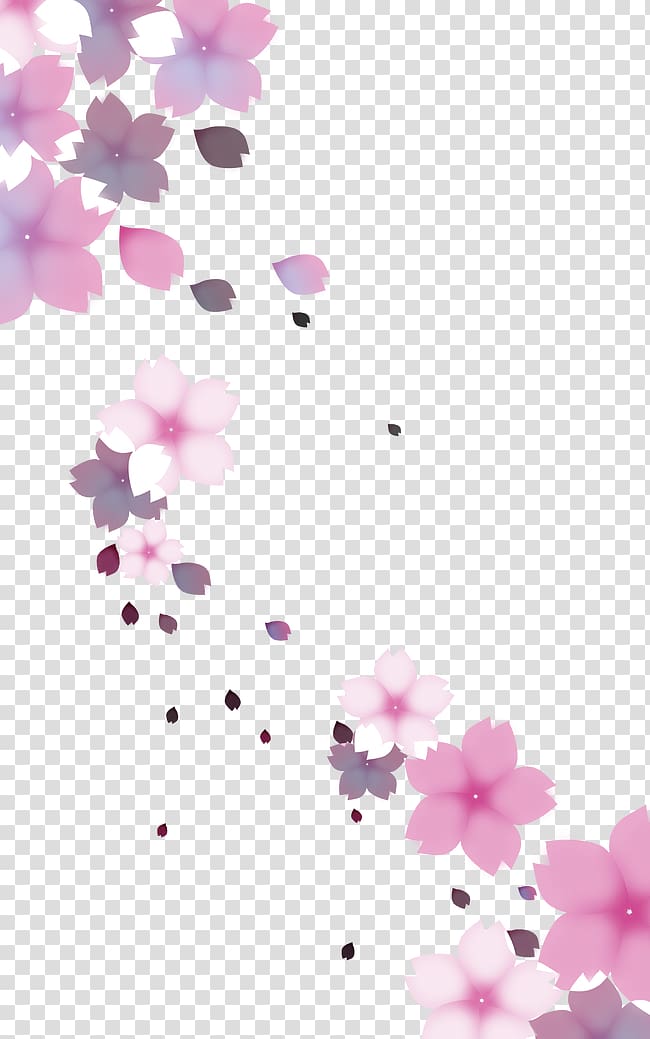 pink flowers illustration, Cherry blossom Flower, Falling transparent background PNG clipart