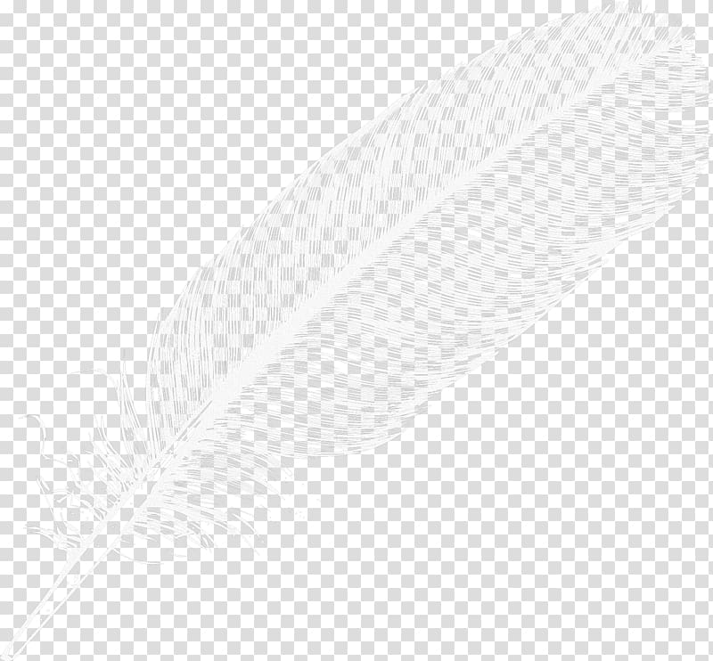 Feather Arrow Point, Feather , white feather illustration transparent background PNG clipart