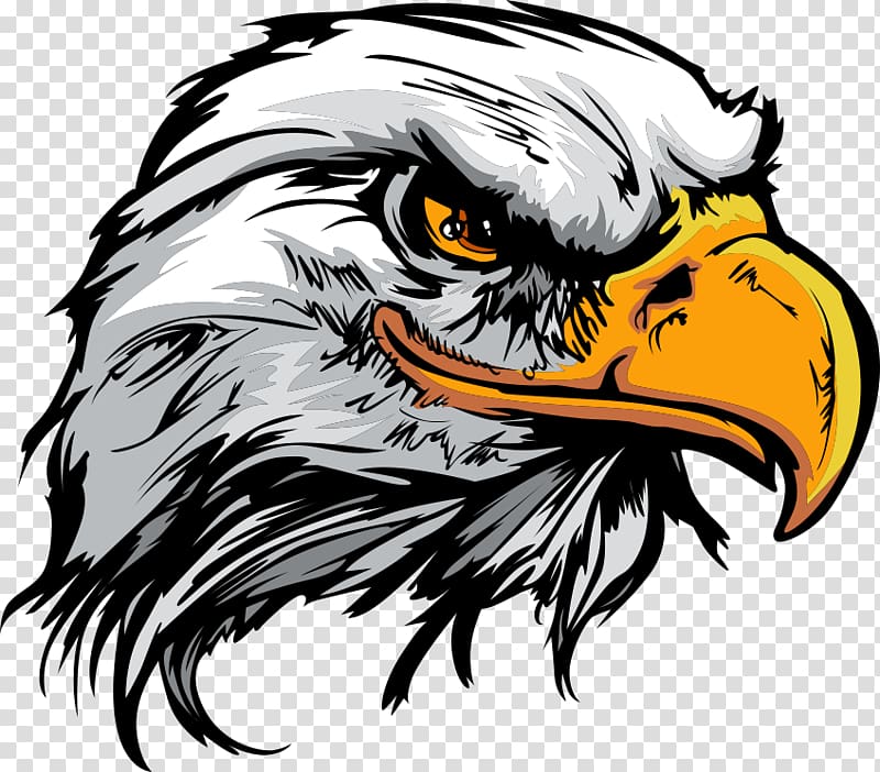 white and brown eagle illustration, Bald Eagle Logo, cartoon eagle transparent background PNG clipart