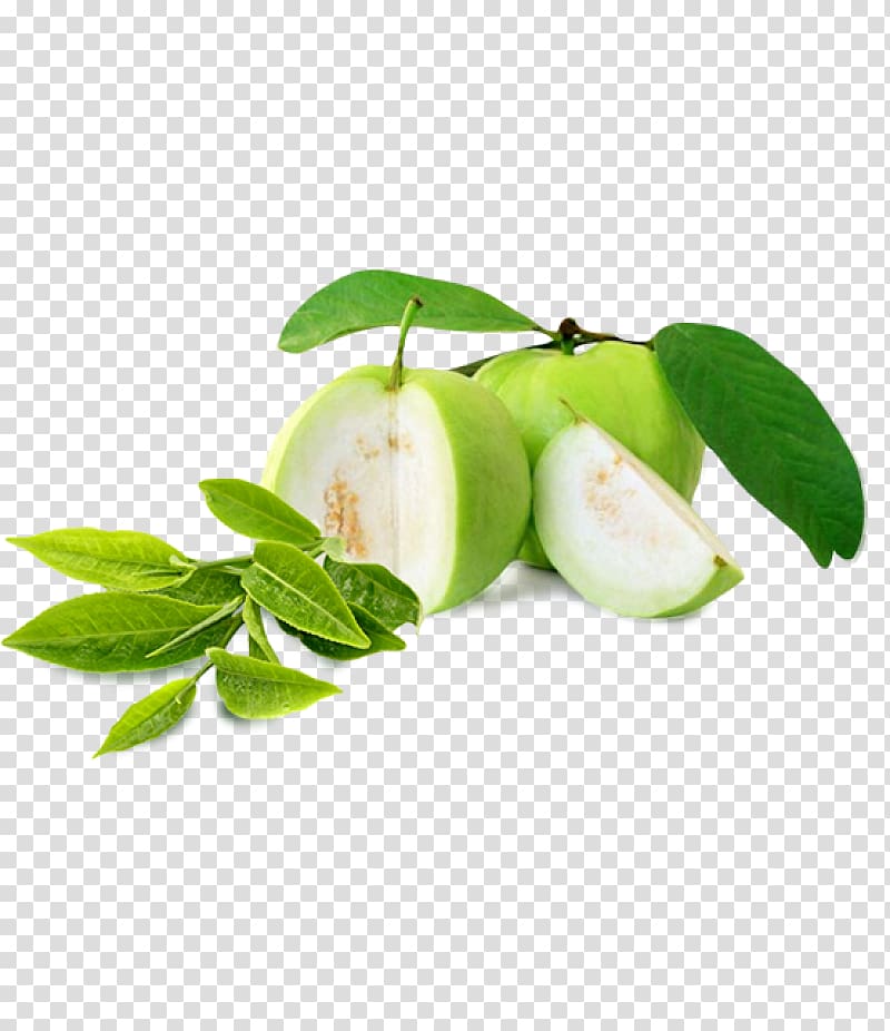 Portable Network Graphics Guava Punch Fruit, Fruit garden transparent background PNG clipart