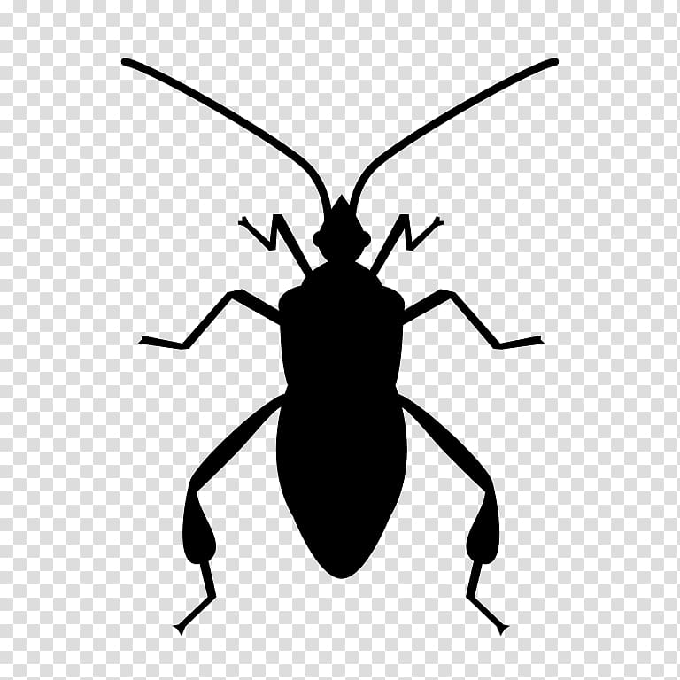 Insect Software bug Bug Swatter Computer Icons, bugs transparent background PNG clipart